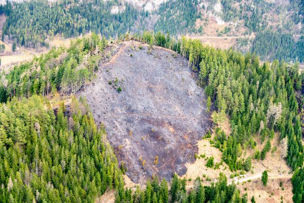 Waldbrand