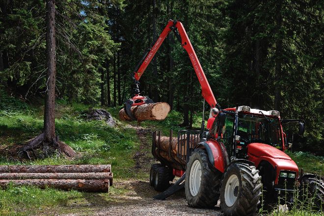 Maschinelle Holzverarbeitung