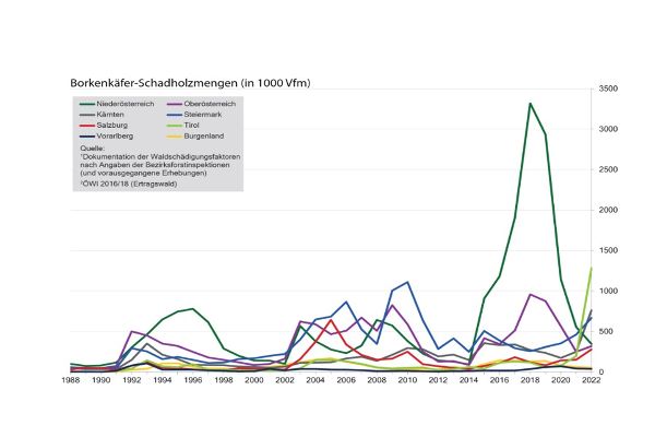 Grafik der Borkenkäfer-Vorkommen im Ertragswald in Österreich 1988-2022; es ist ein zunehmender Trend erkennbar, wobei immer wieder deutliche Spitzen dargestellt sind. 