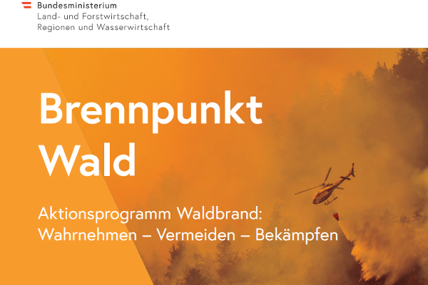 Aktionsprogramm Brennpunkt Wald_Cover