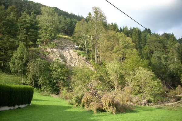 Rutschung eines Waldes