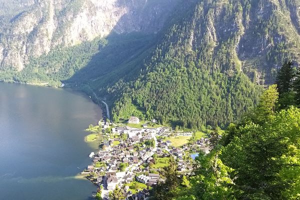 Der Bannwald in Hallstatt ist wesentlich für einen nachhaltigen Schutz der Bevölkerung und die Infrastruktur. 