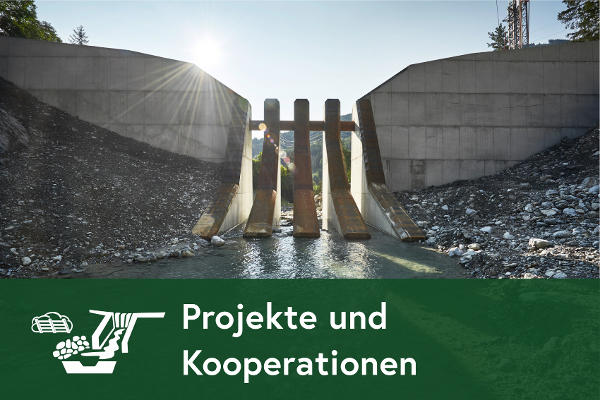 Foto einer Lawinenverbauung und Text: "Projekte und Kooperationen"