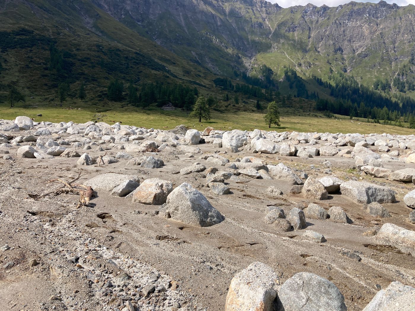 Blick auf ein Flussbett mit vielen unterschiedlich großen Steinen. Dahinter eine grüne Wiese mit Bäumen.