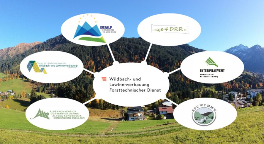 Karussell_Vernetzung Kooperationen