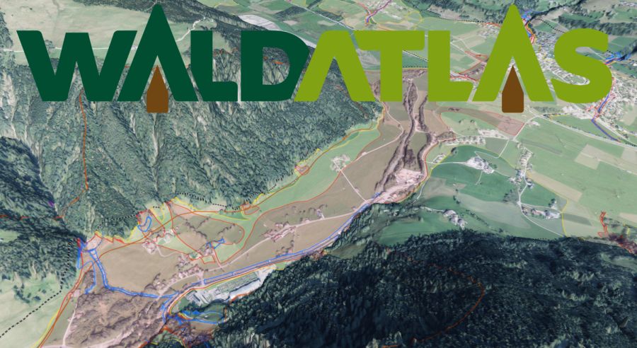 Geodatenplattform Waldatlas