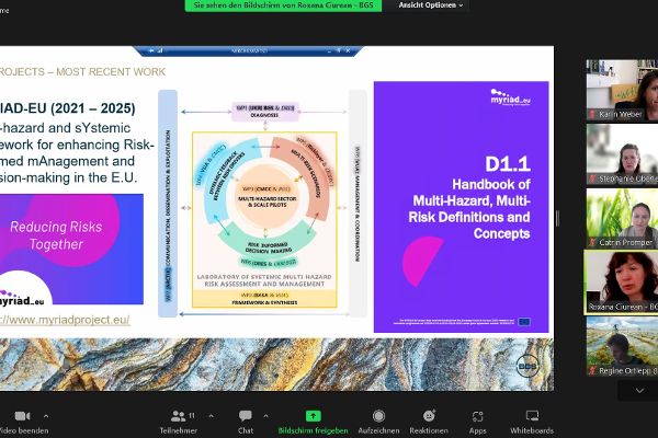 screenshot of webinar