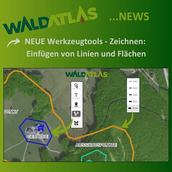 Waldatlas NEWS Linien und Flächen