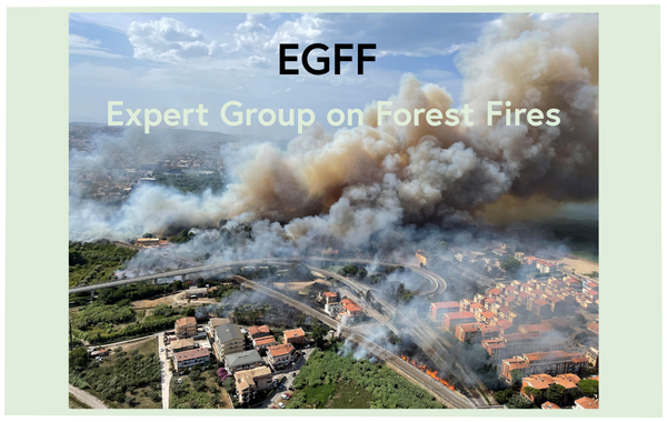 Expert Group on Forest Fires - EGFF