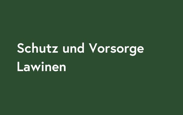 SV Lawinen