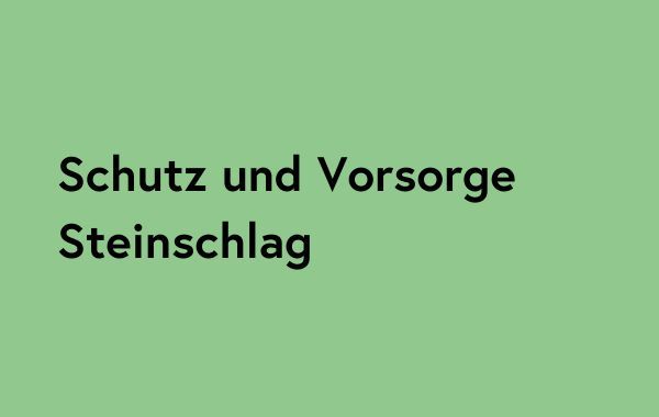 SV Steinschlag