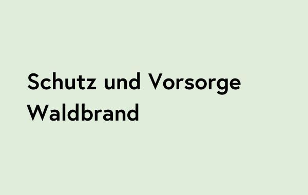 SV Waldbrand