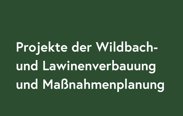 Projekte und Maßnahmenplanung