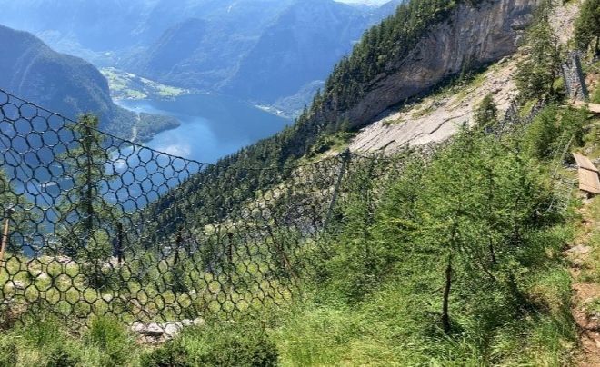 Bannwald in Hallstatt von oben mit Steinschlagnetz