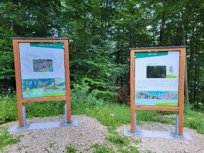 Lehrtafeln des neuen Lehrpfads am Nikoloweg