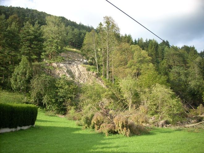 Rutschung eines Waldes