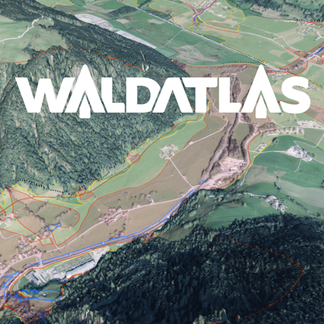Waldatlas Geodatenplattform